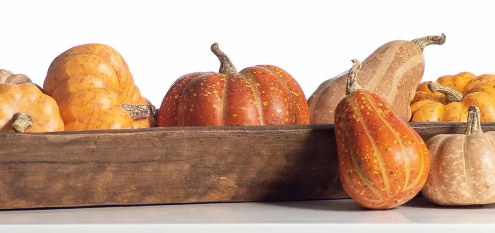 Artificial Pumpkins & Cornucopia – Faux Fall Harvest Decor | Darby
