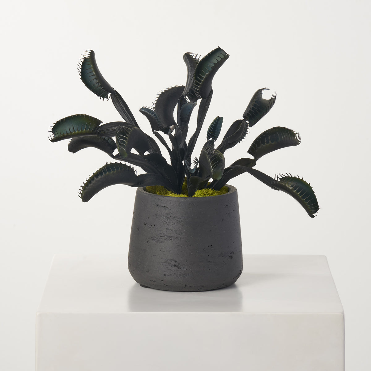 花瓶・フラワースタンド emeth No.001 Venus cactus pot emeth001 emeth/エメス】emeth No.001 Venus cactus pot emeth001の通販