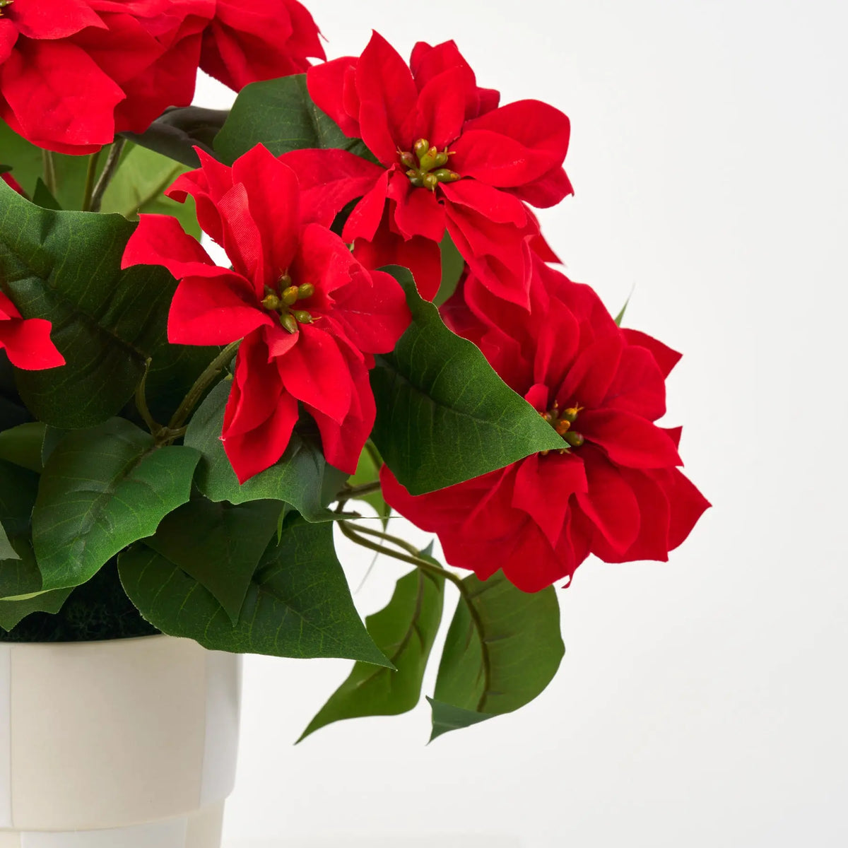 Lifelike Mini Red Poinsettia Faux Plant Bush in Checkered Cream White –  Darby Creek Trading