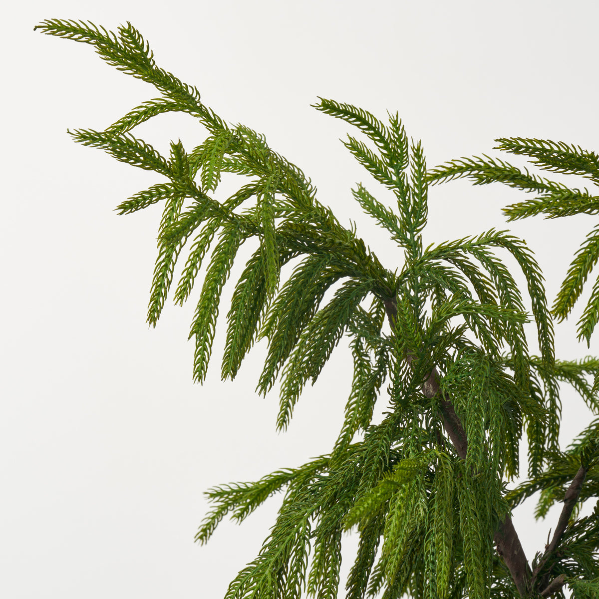 Real Touch Norfolk Topiary Tree in Black Textured Planter Pot