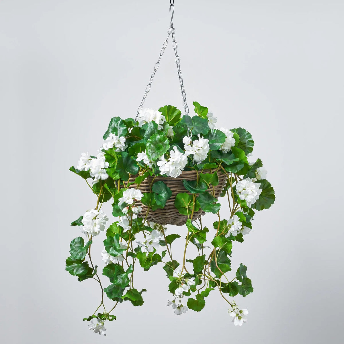 white hanging baskets for plants Blooming White Geranium Bush Everyday Spring Summer Hanging Basket
