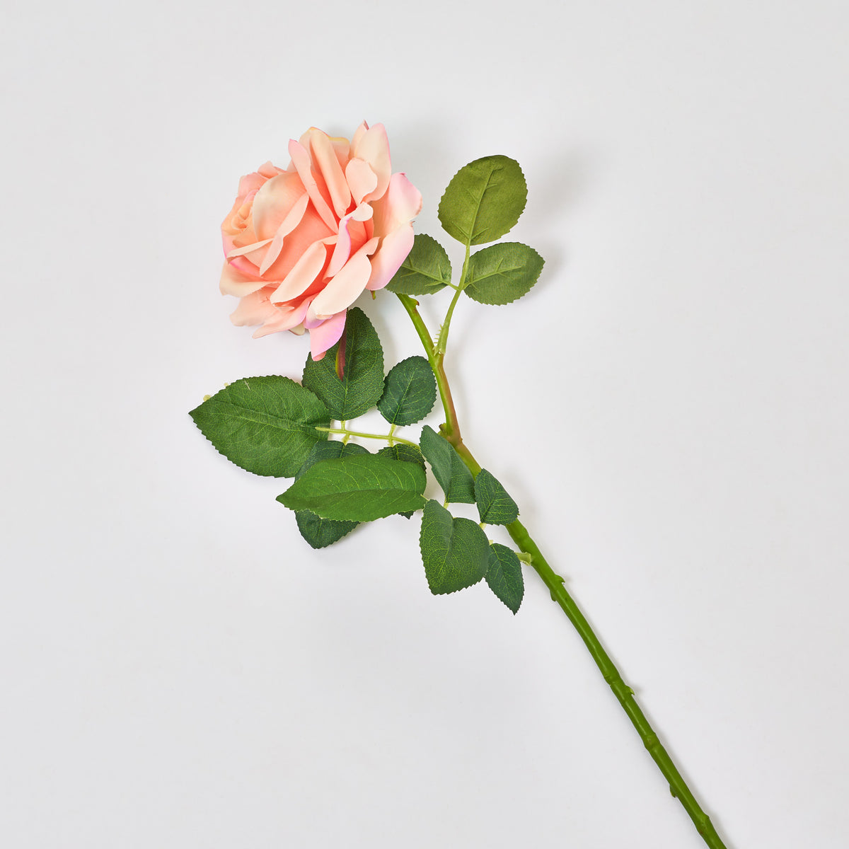 Lifelike Full Bloom Blush Pink Peach Garden Rose Faux Floral Single St