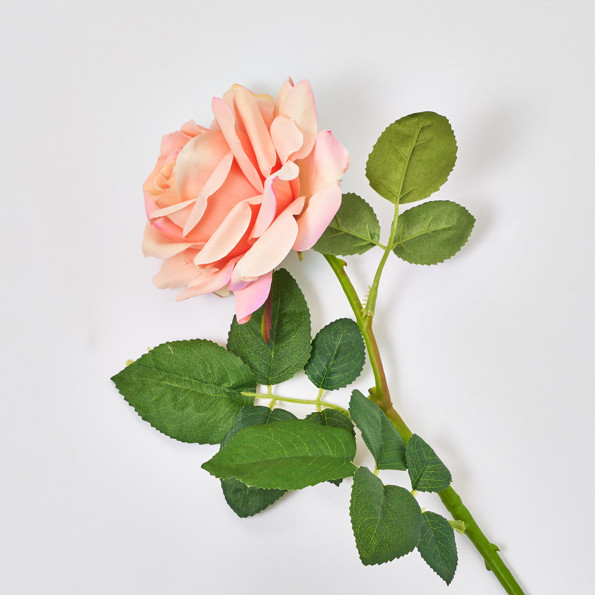 スカート MILK Garden Rose SK FLWSTM1163JustCutBloomingBlush