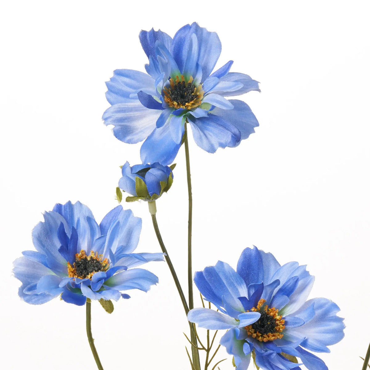 FLWSTM1350BlueCosmoBloomsLongS