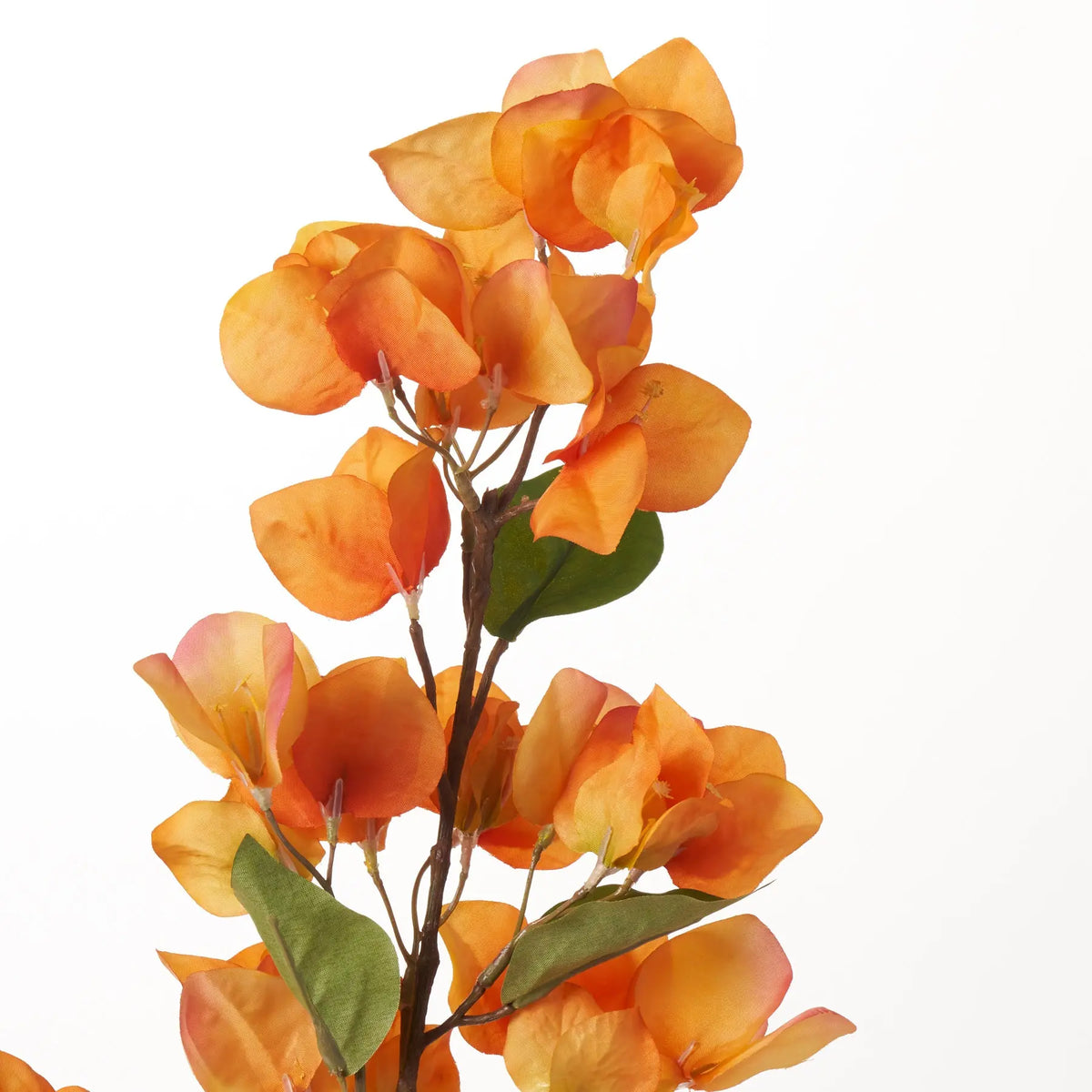 Lifelike Orange Ombre Bougainvillea 34