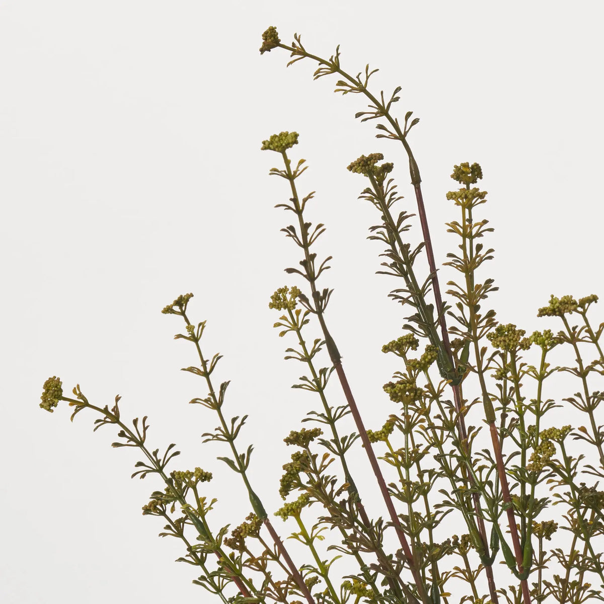 wildflower seed spray Dark Green Faux Seeding Wildflower Bush Spray - 21"