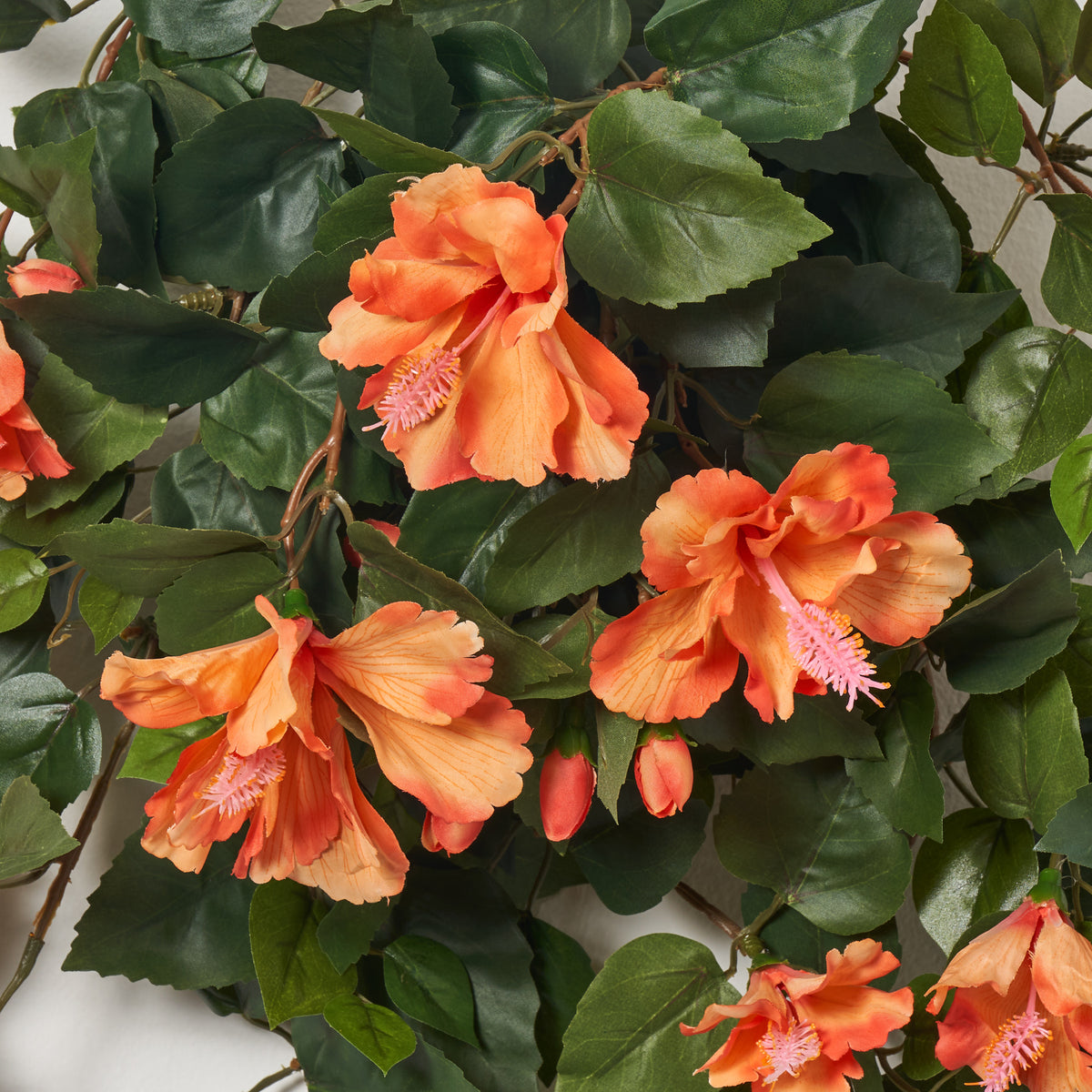 FLWSTM1658OrangeHibiscusBloom_