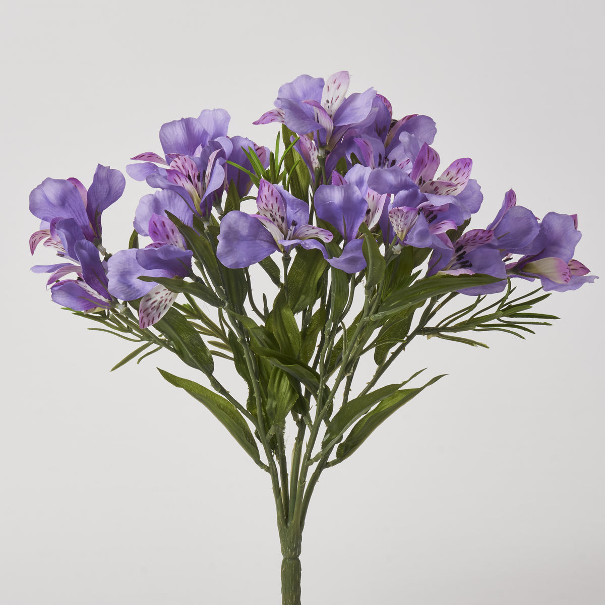 FLWSTM1915AlstroemeriaBloomsFa