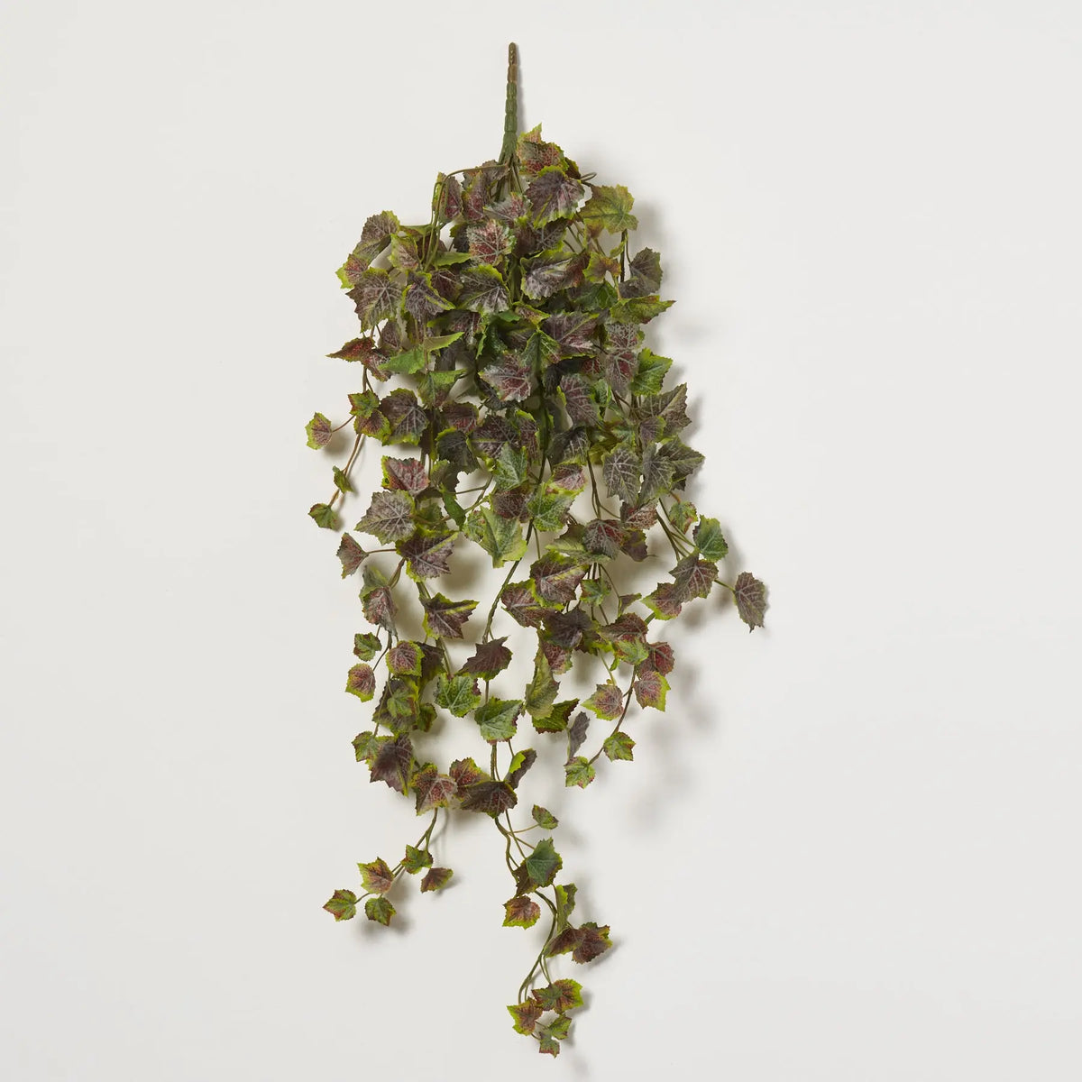 ivy plant hanging Hanging Variegated Purple & Green Ivy Leaf Foliage All Seasons – Darby  Creek Trading