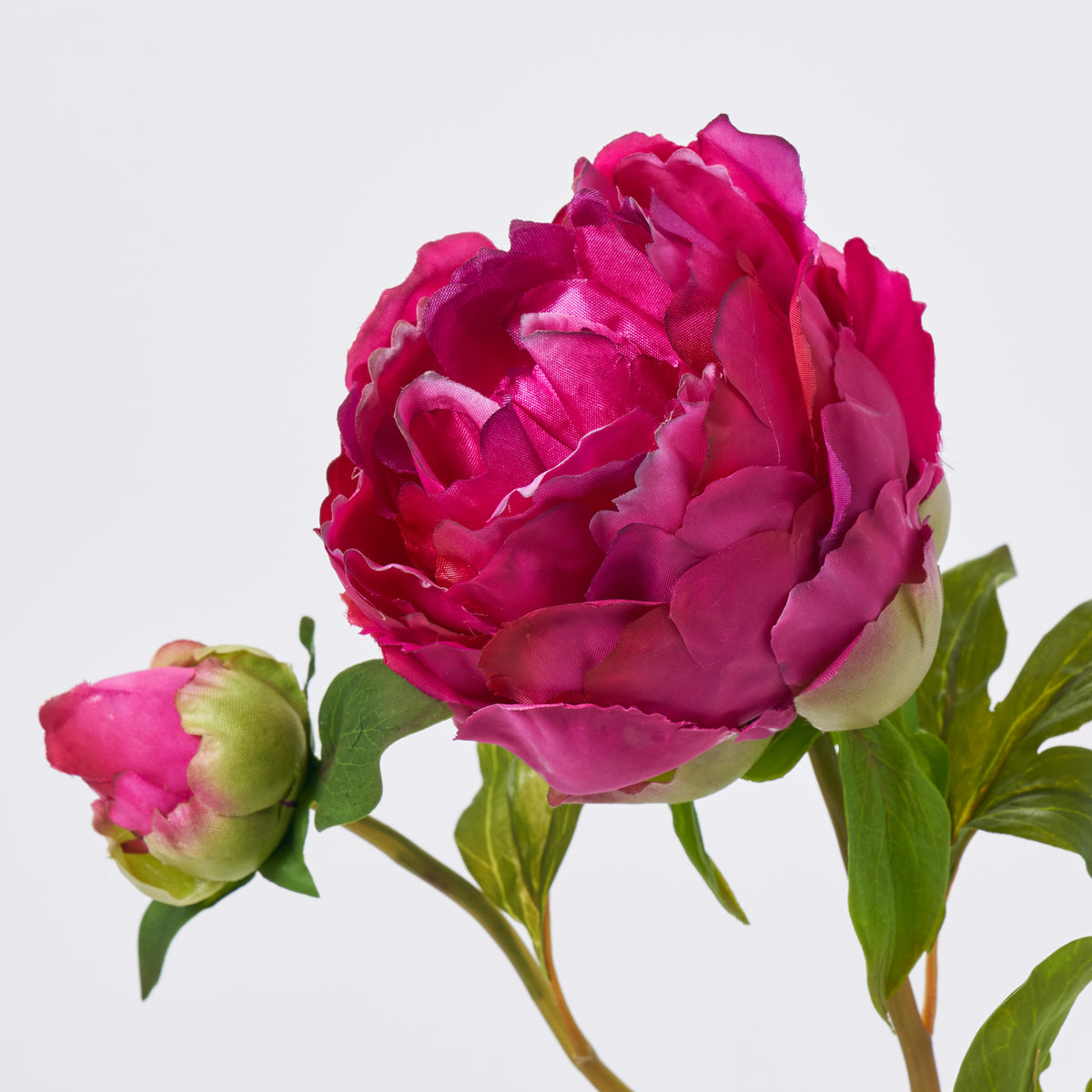 bullpen購入 fanny roos フラワーベース ピンク bullpen購入 fanny roos フラワーベース ピンク bullpen購入 fanny