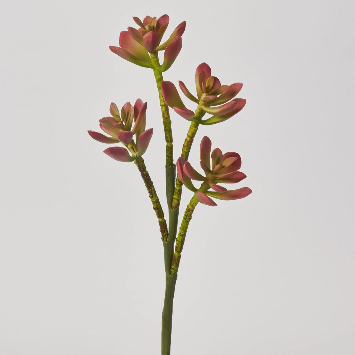 faux pink succulent Mauve Pink & Green Ice Plant Soft PE Succulent Spray - 19"