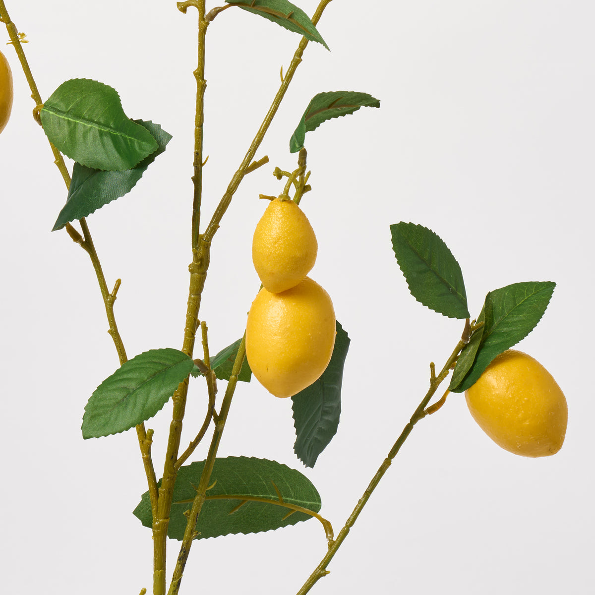 Meyer Lemon & Leaf Tree Branch Decorative Citrus Stem Spray - 36 