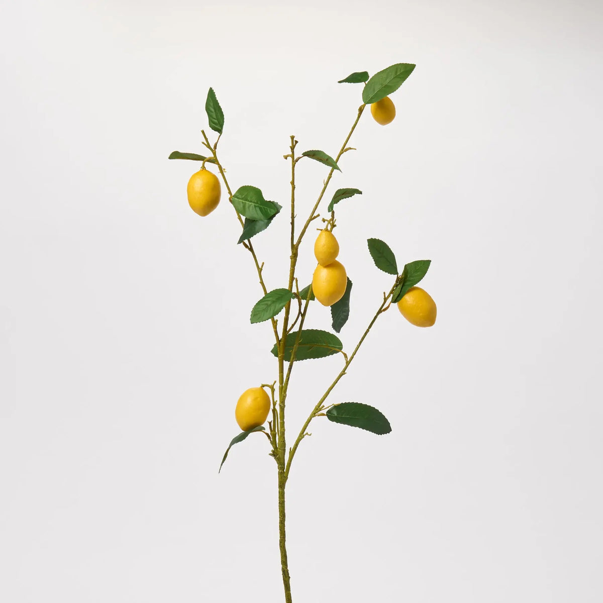 Meyer Lemon & Leaf Artificial Tree Branch Decorative Citrus Stem Spray –  Darby Creek Trading