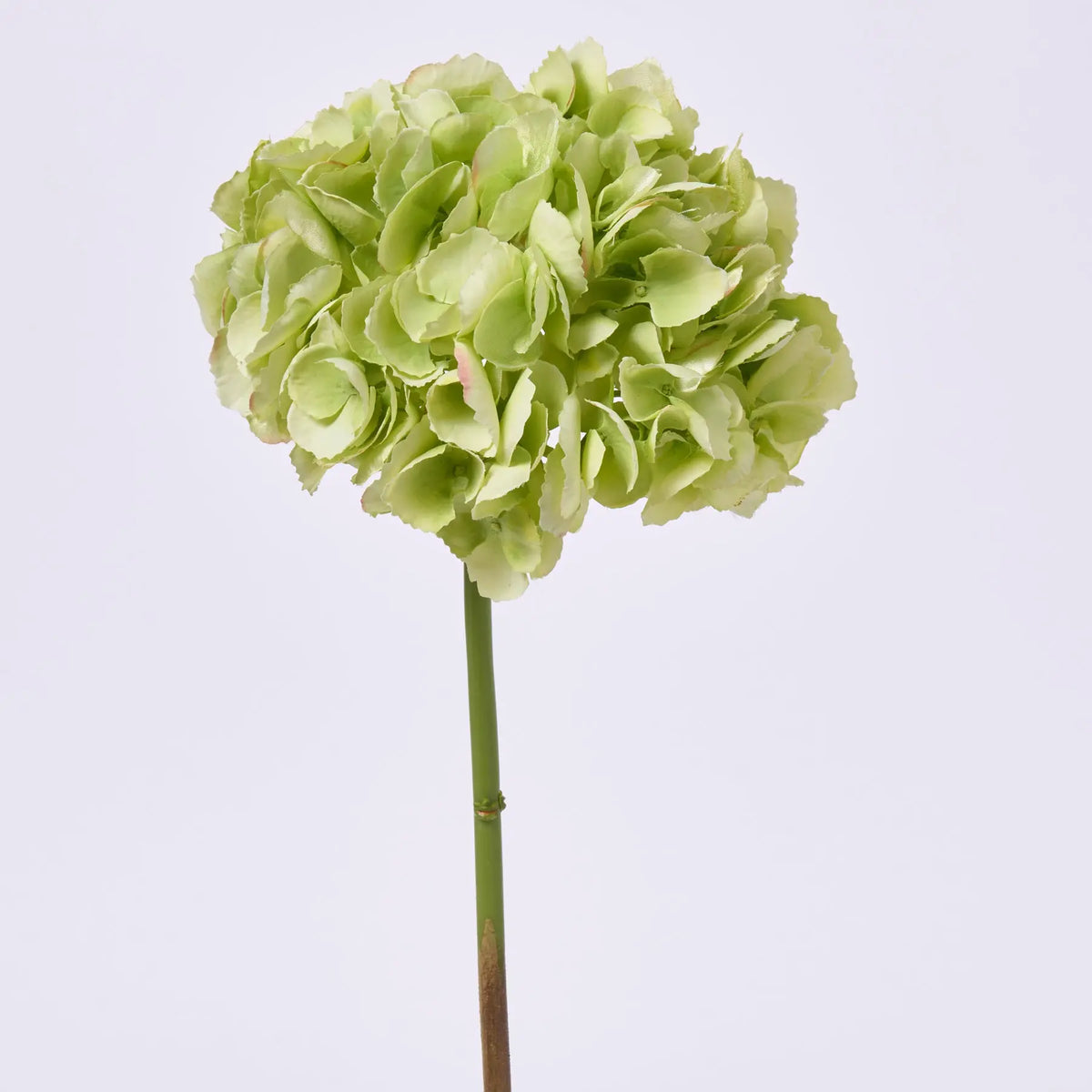 Light Green Silk Hydrangea Bloom Single Stem Spray - 19