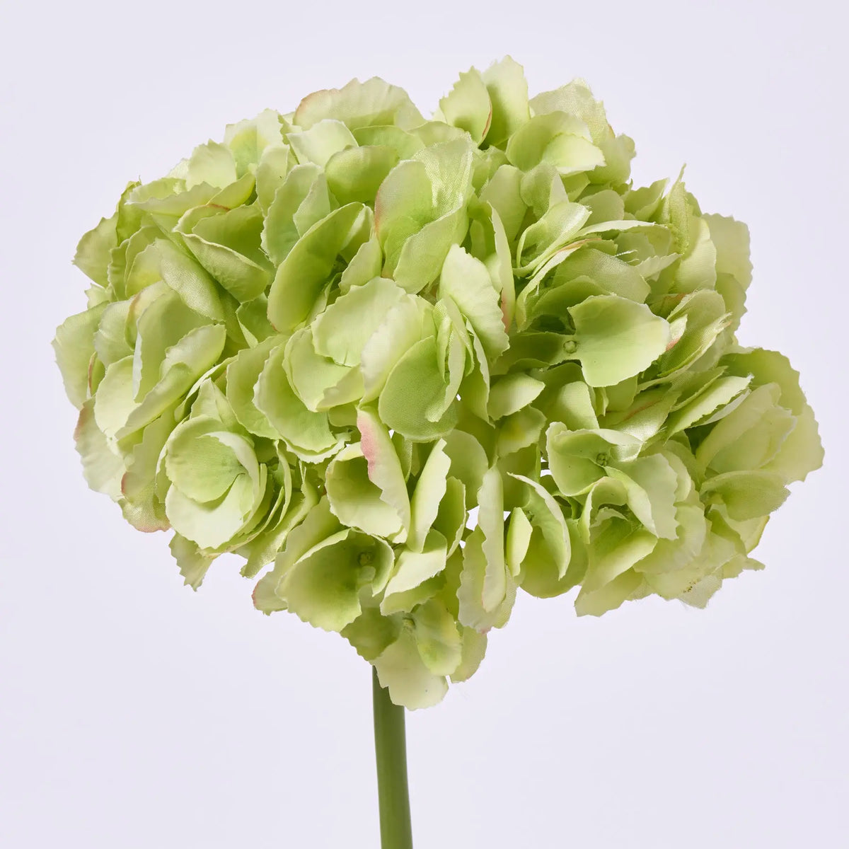 Light Green Silk Hydrangea Bloom Single Stem Spray - 19
