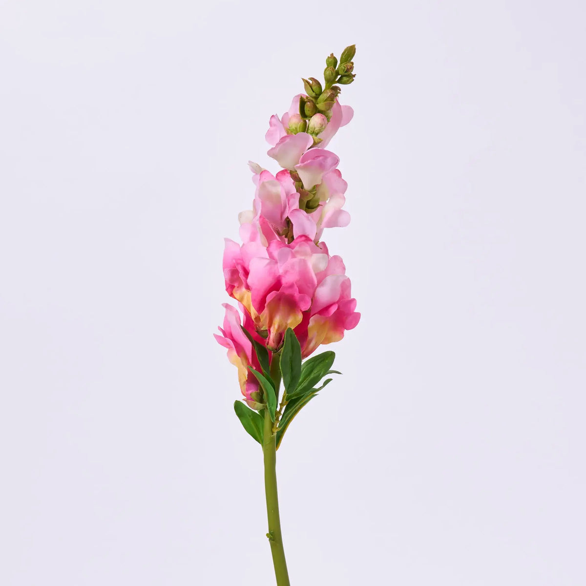 Real Touch Blooming Bright Pink Orchid Snapdragon Spray Single