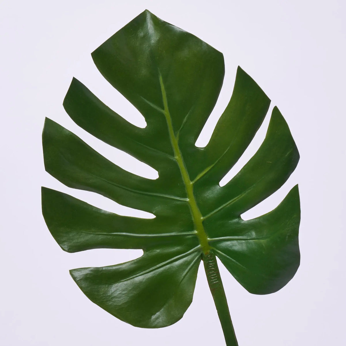 monstera near me Lifelike Green Philodendron Monstera Leaf Single Stem Tropical Spray