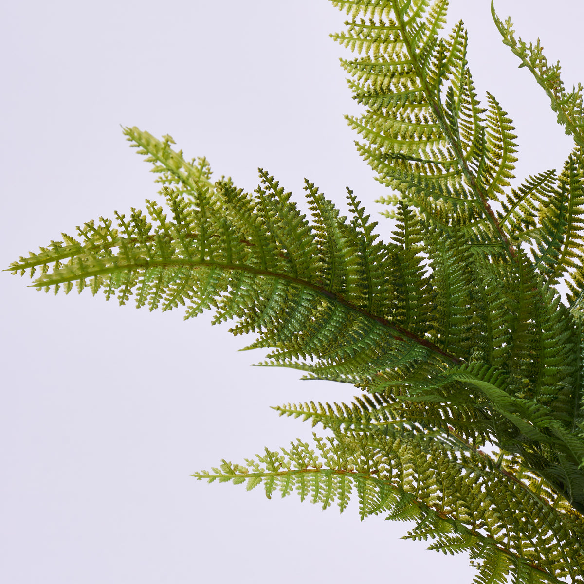 Everyday Greenery Faux Leather Fern Bush Branch Spray 20 Darby