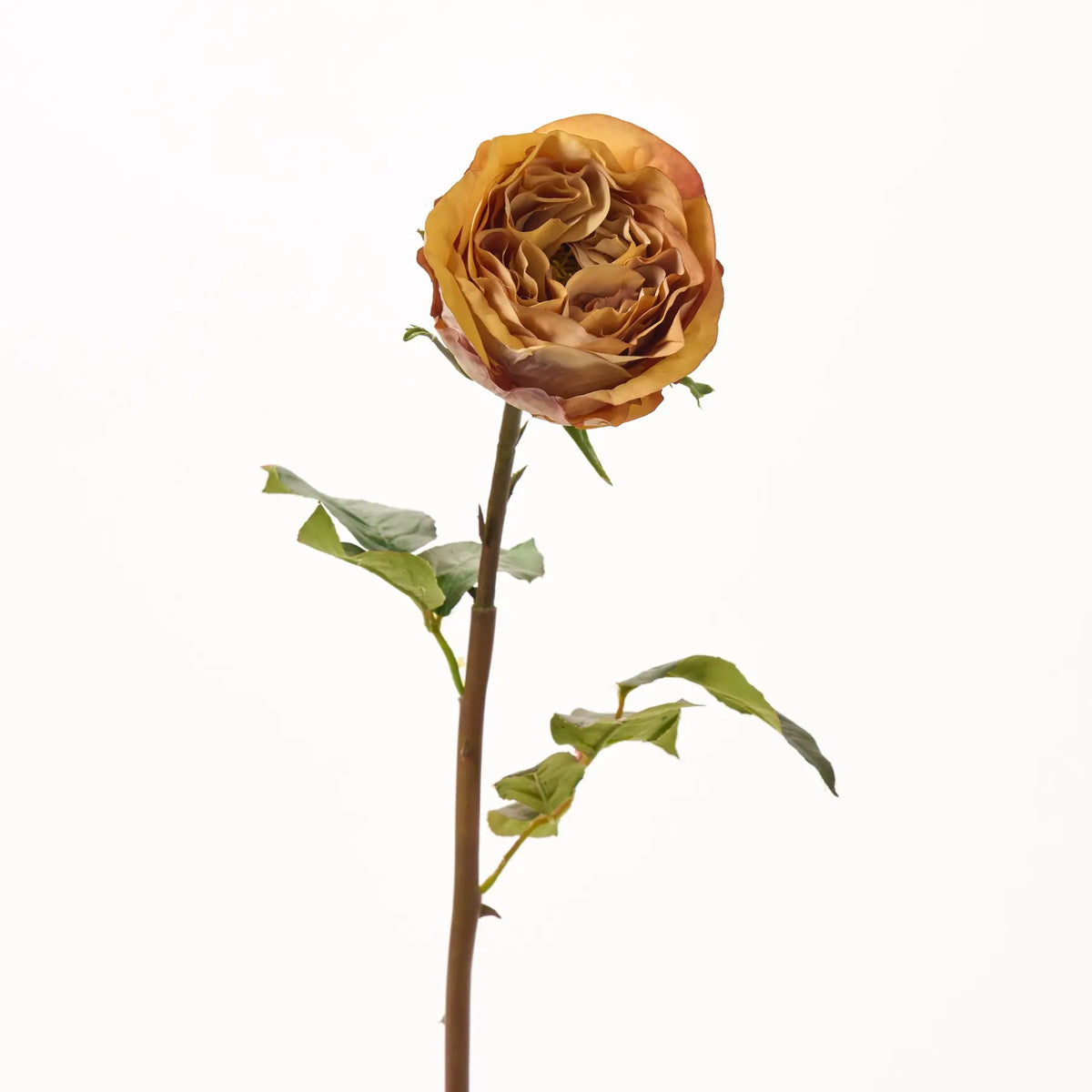 Toffee Brown Dutchess Rose Bloom Faux Floral Spray - 21