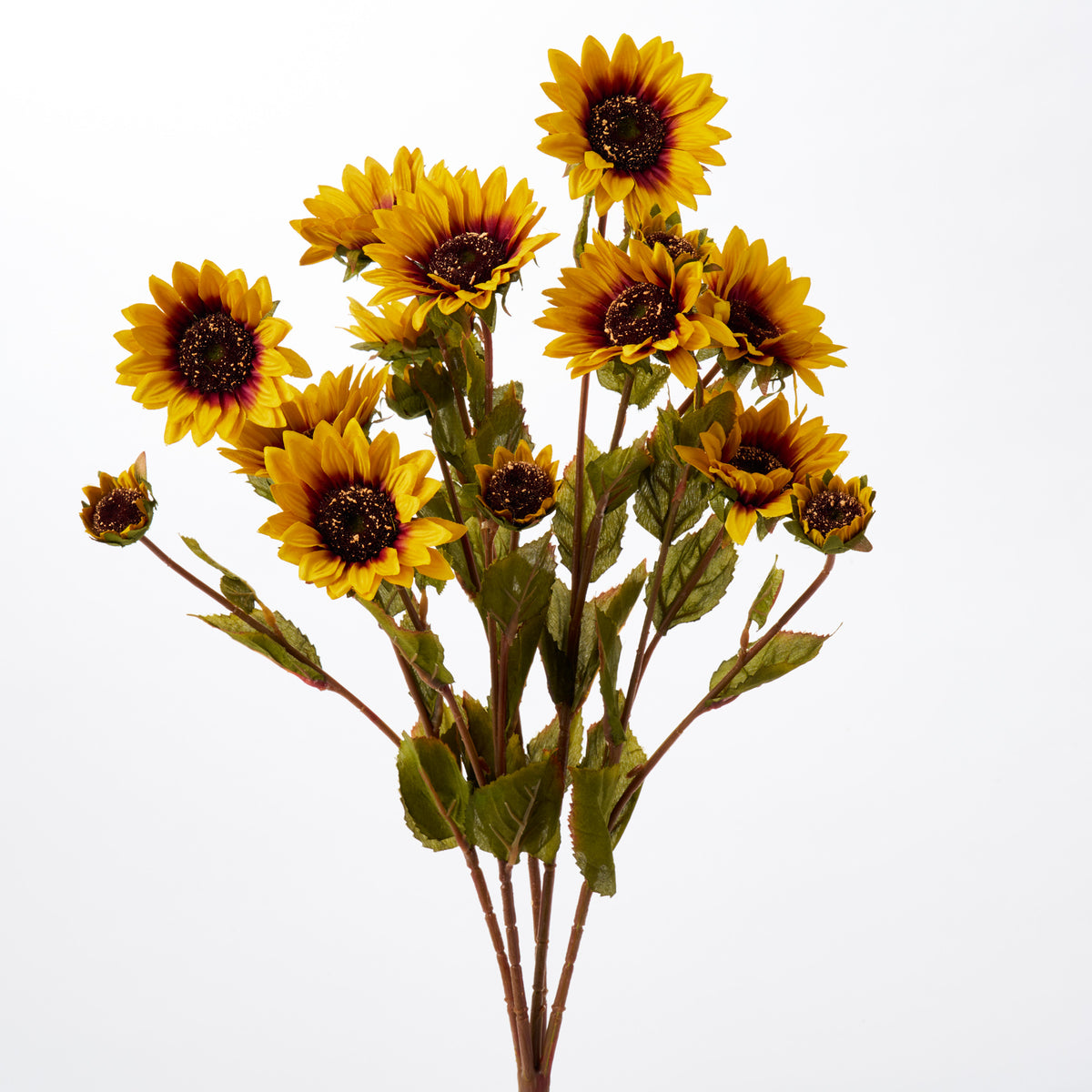 額装品/Sunflowers for Hope（デビット ホックニー） 21