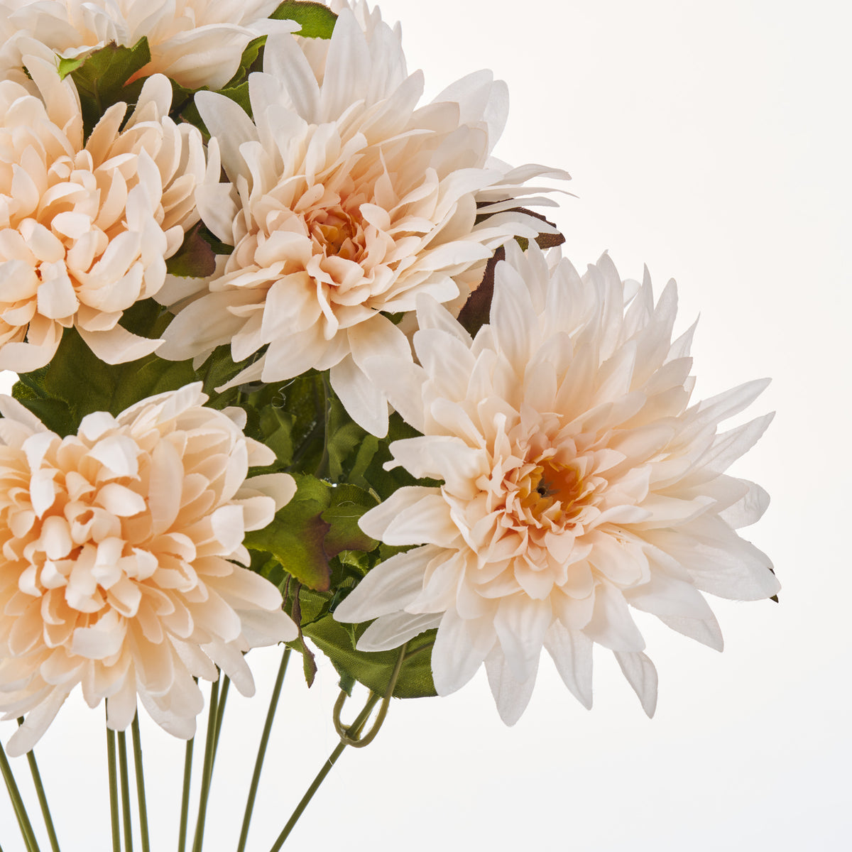 FLWSTM3227CreamAutumnChrysanth