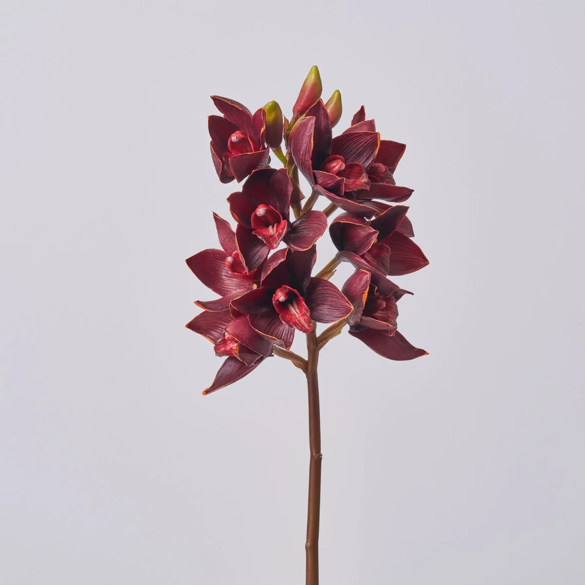 HC-6 heartfelt Botanic Orchid 9点セット 未使用 FLWSTM3395BloomingRealTouchBur