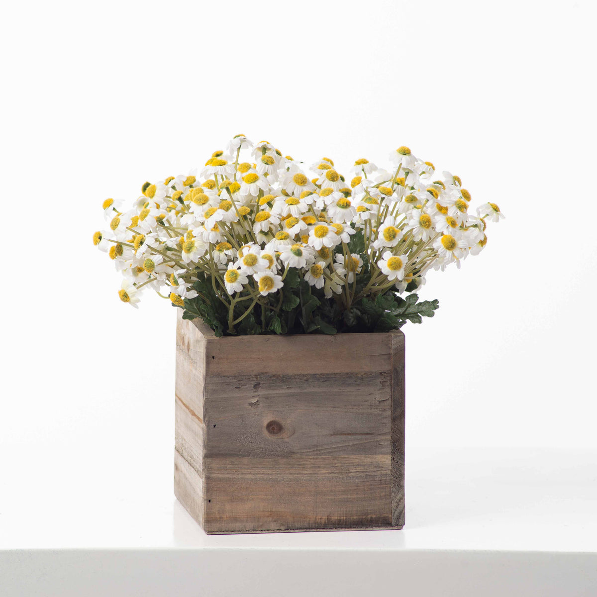 Mini White Daisy  Resurrect Antiques