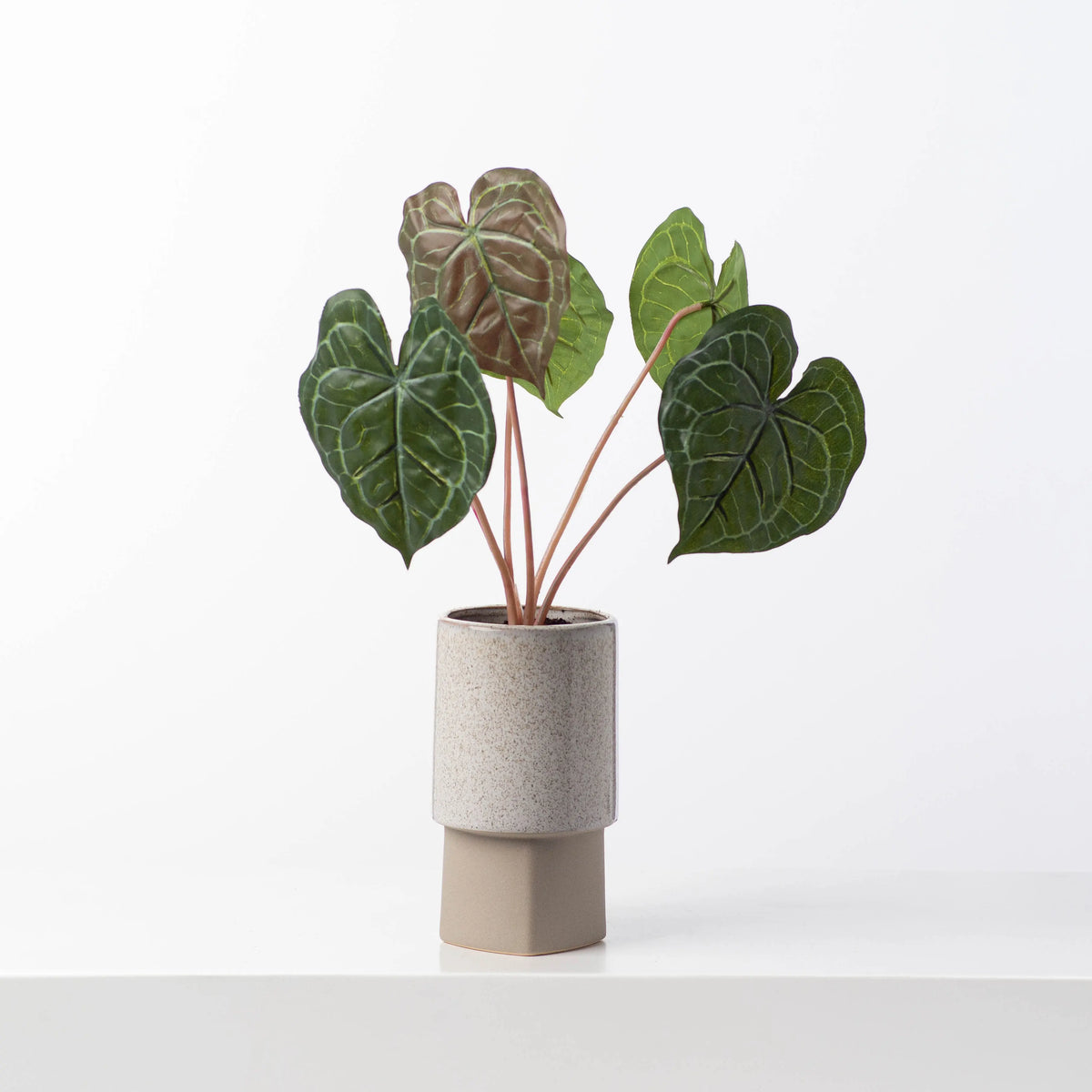 anthurium concrete Faux Anthurium Leaves Artificial Plant in Modern Glazed Concrete – Darby Creek Trading