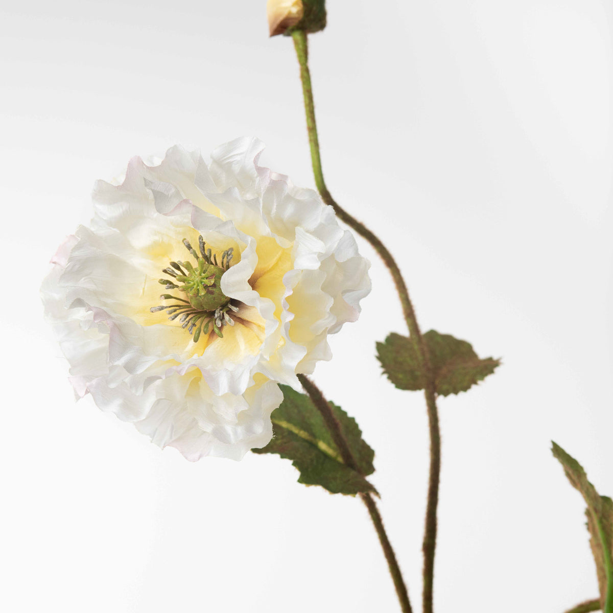 Double Ruffle Wild Poppy Faux Flower Water Illusion Arrangement in Mod Darby Creek Trading