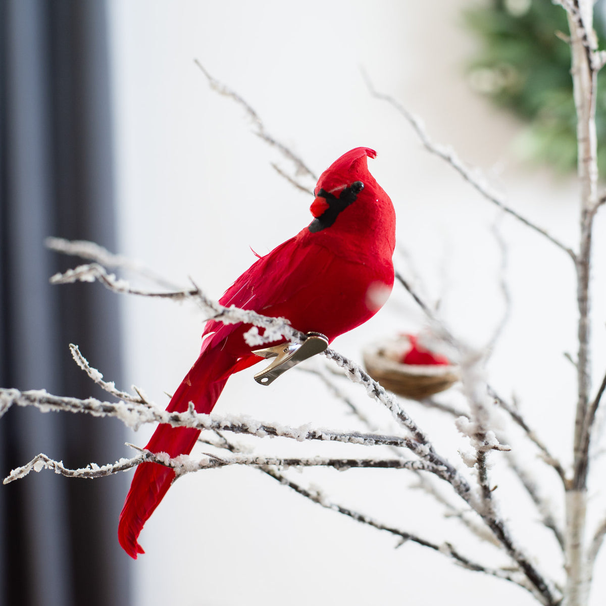 Red Cardinal and Blue Jay Backyard Birds Ceiling Fan or Light Pulls Set of  2 - Mary B Decorative Art