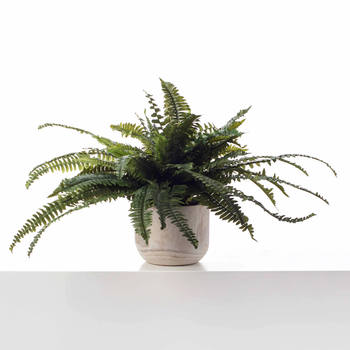 faux fern plant in pot Lifelike Boston Fern In Elmwood Planter Faux Artificial Houseplant