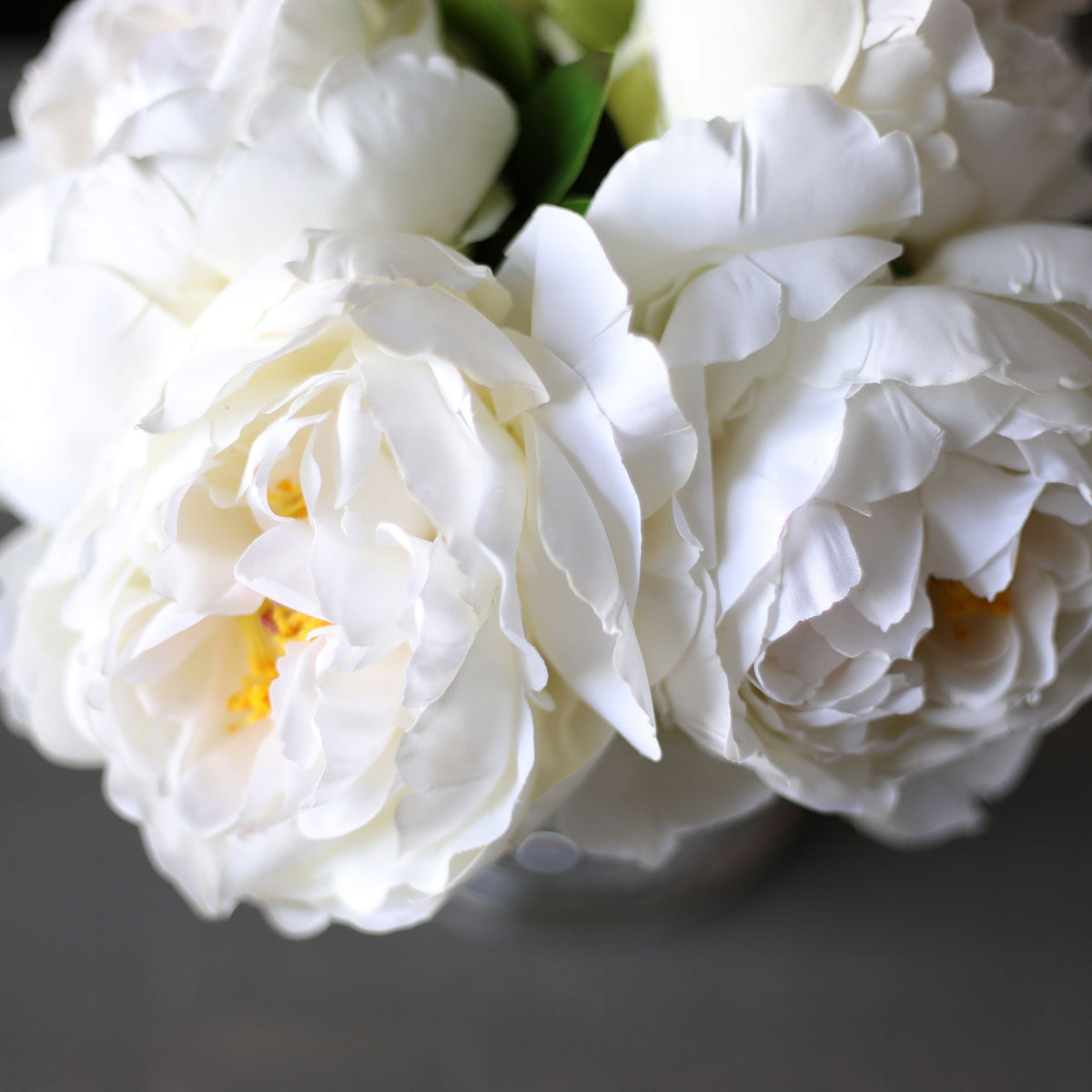 ✳︎peony✳︎ 119278_0_1_1.jpg
