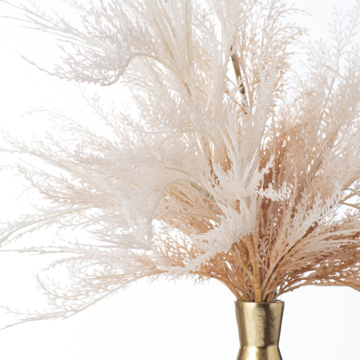 Cream & Brown Ombre Plume Pampas Grass Everyday Spring Fall Water Illu –  Darby Creek Trading