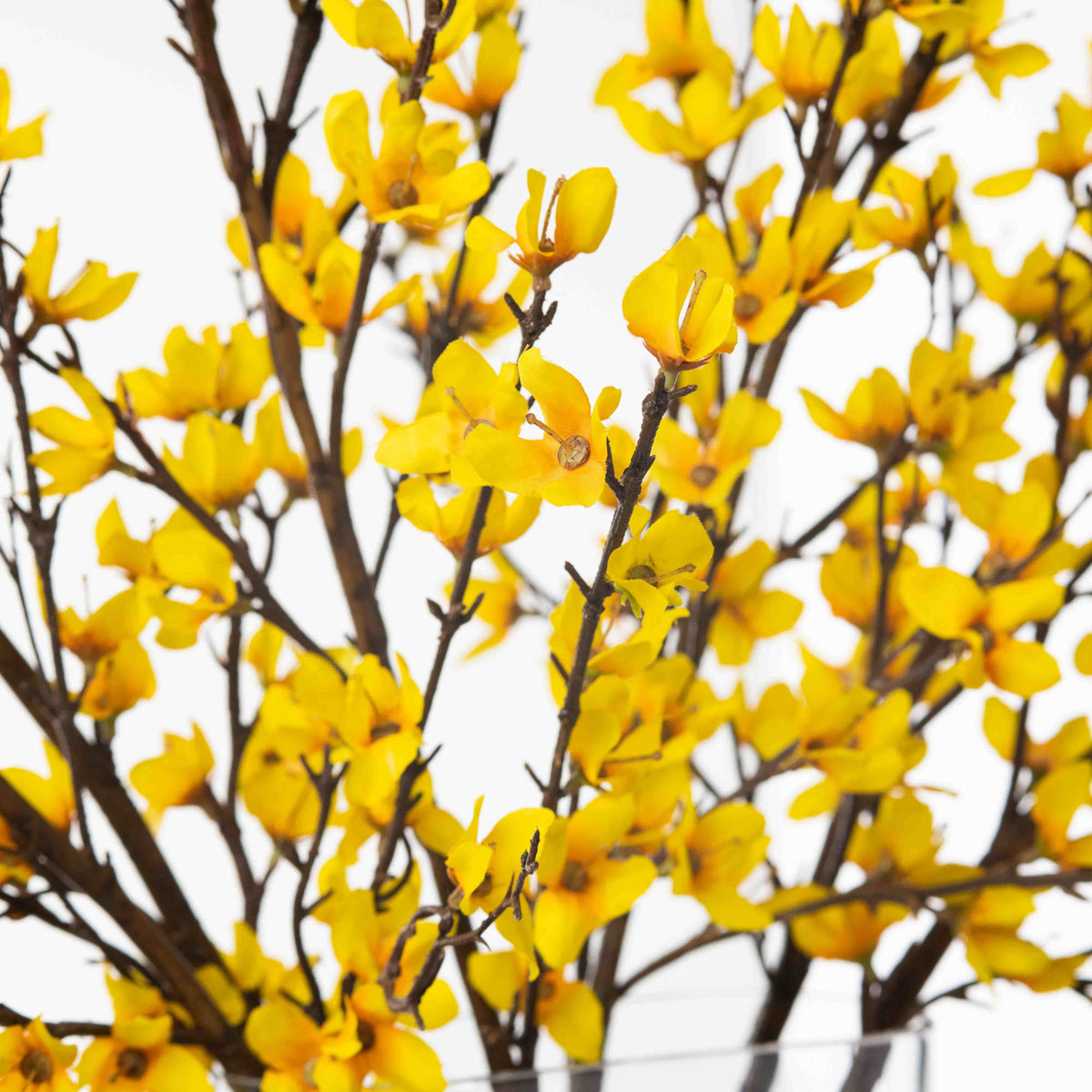 Yellow Forsythia Branch  Faux Blooming Spring Branches at