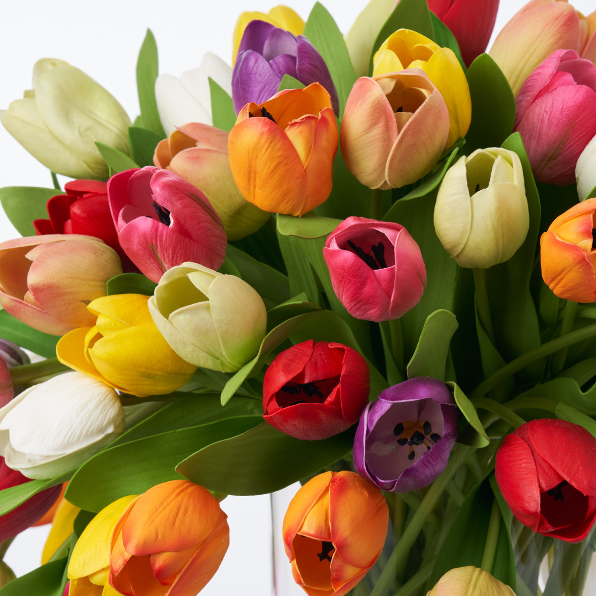 Tulip ColorShot Outdoor Onyx – Tulip Color Crafts