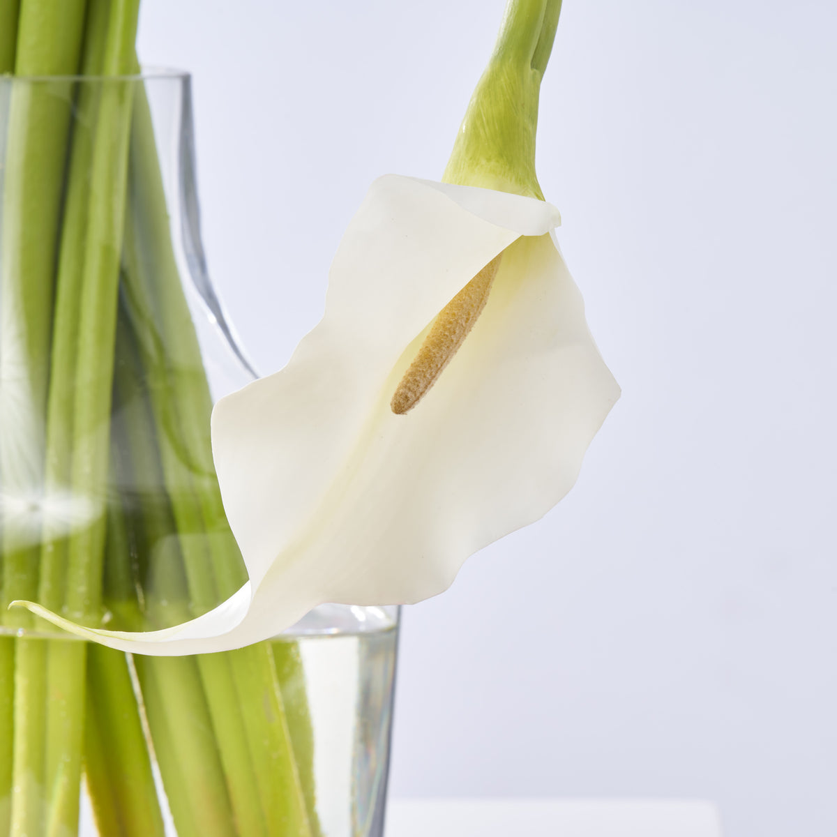 Modern Artistic Real Touch Calla Lily in Asymmetric Vase Everyday