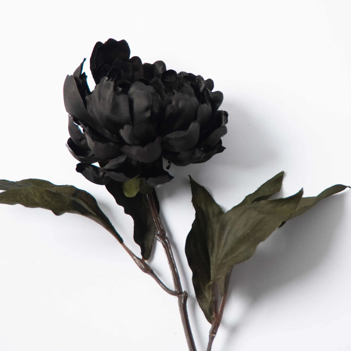 Black Faux Floral Blooming Peony Stem - 18