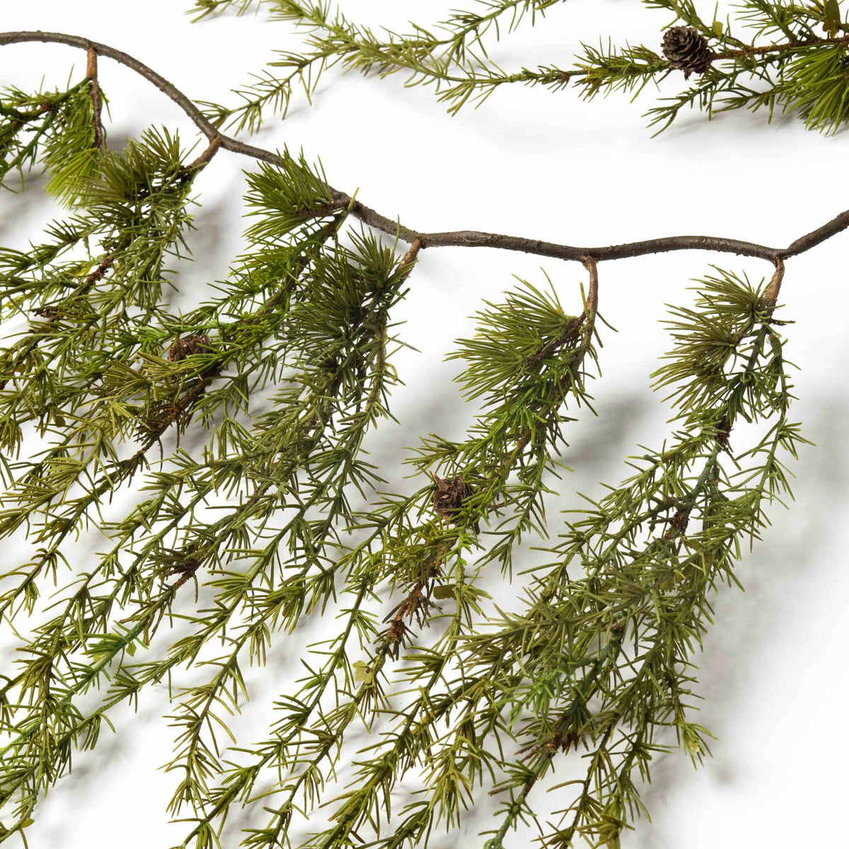 72 Spring Asparagus Fern Garland by Bloom Room