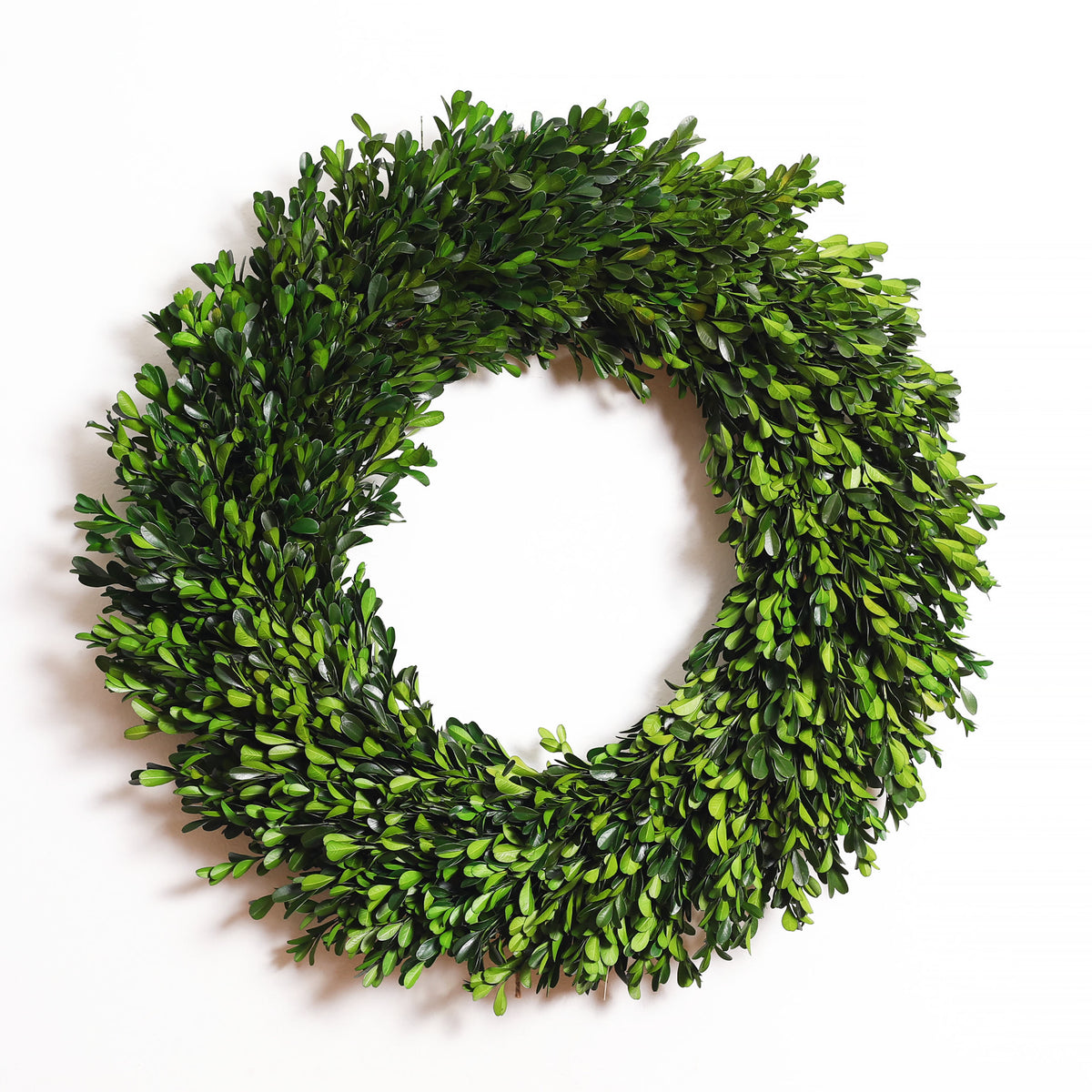 Boxwood Wreath, 22 Inches, Mardel