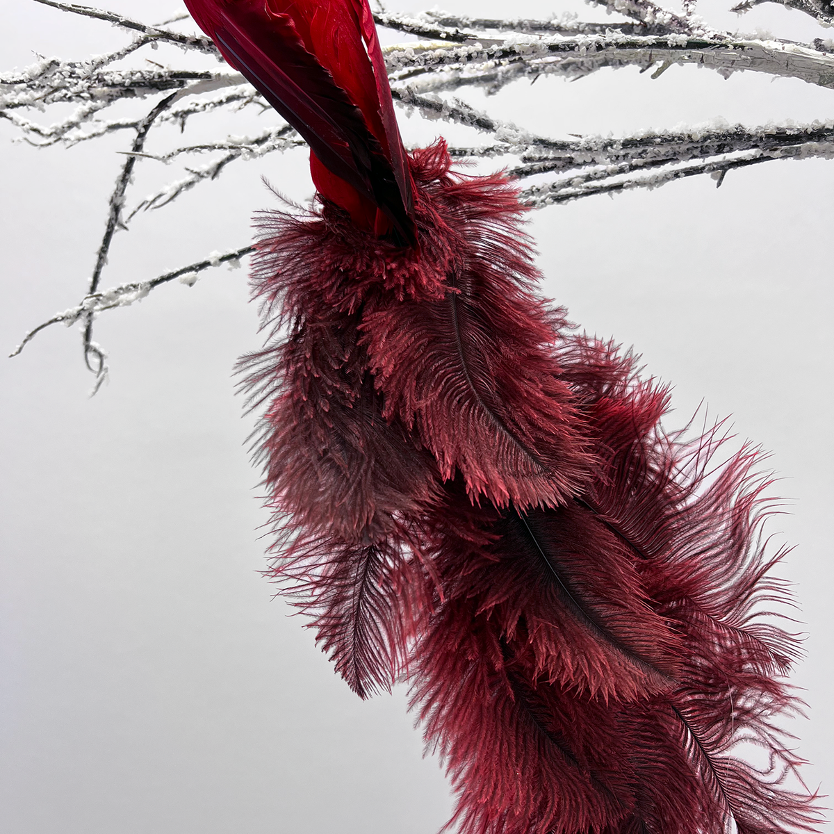 Large Red & Black Ostrich Feather Clip-On Bird Ornament – Darby Creek  Trading