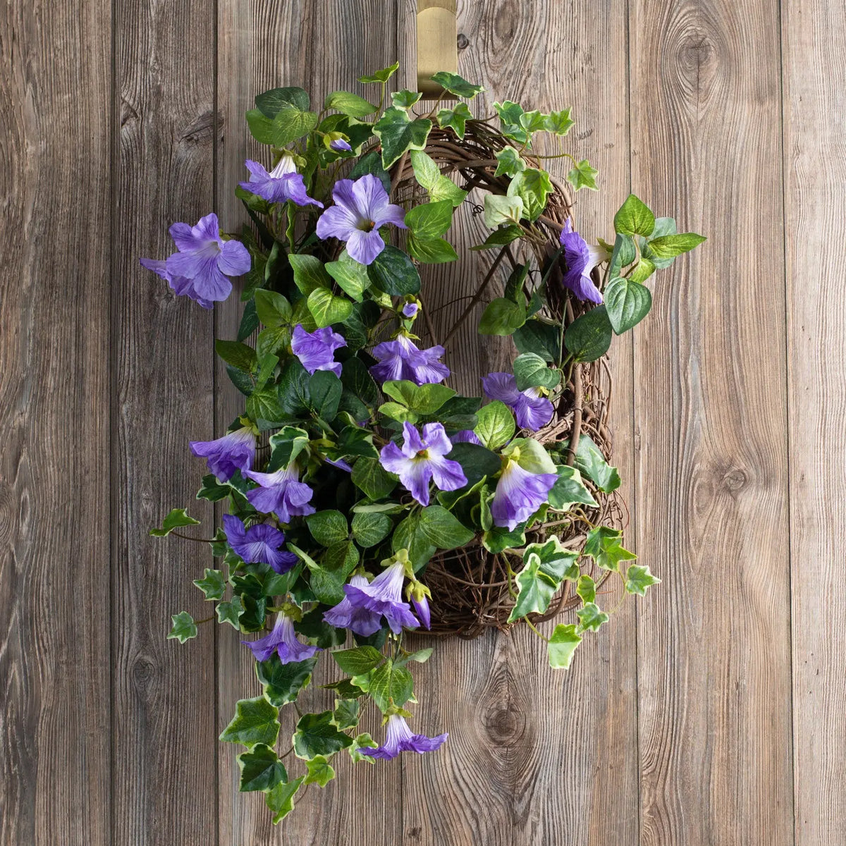 PurplePetunia_EnglishIvyHangin