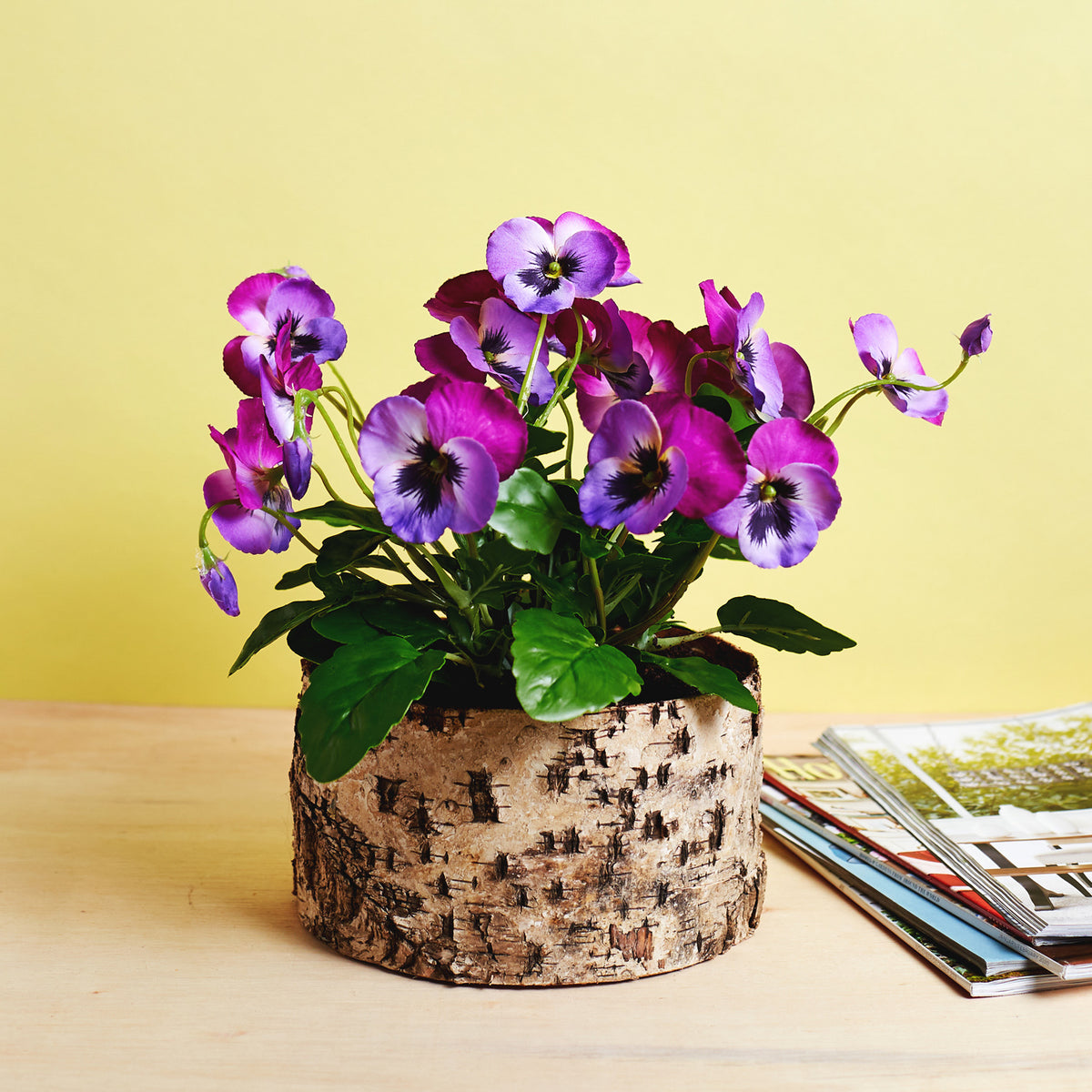 Violet Purple Two-Tone Pansy Faux Plant Arrangement in Birch