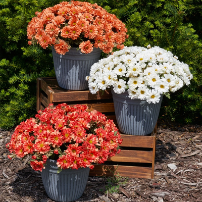 Elevate Your Outdoor Decor with New Faux Outdoor Arrangements