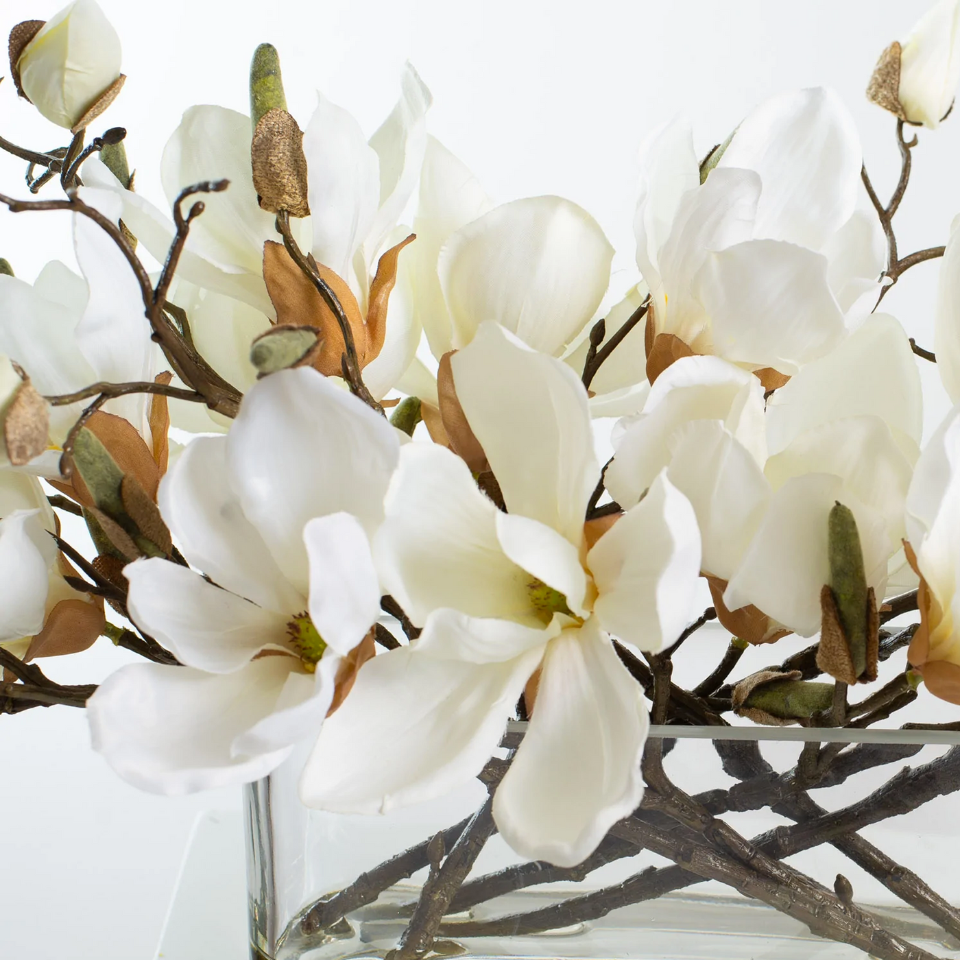 Trending Now: White & Cream Flowers