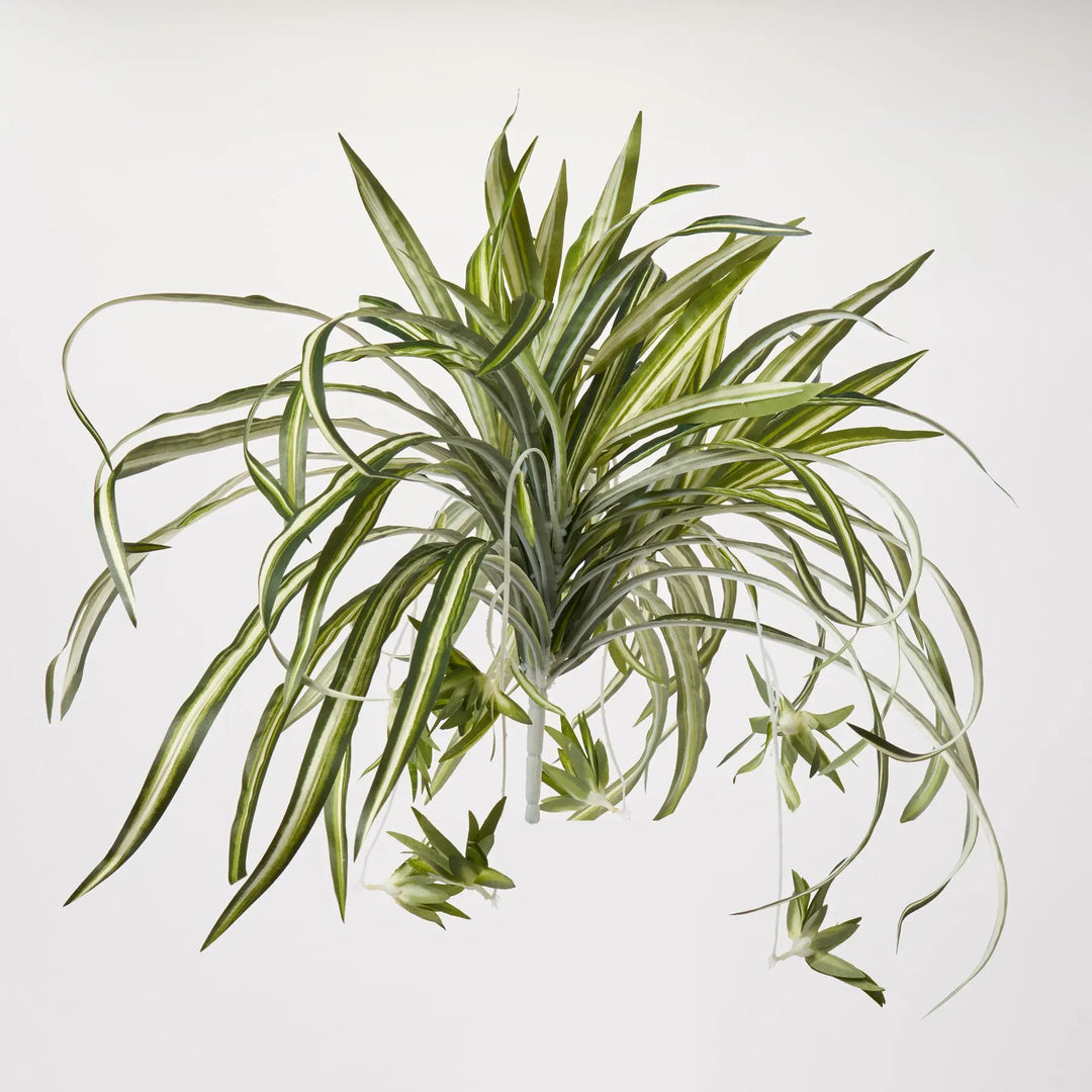 spiderette spider plant Lifelike Spiderette Houseplant Faux Spider Plant Bush Spray - 24"