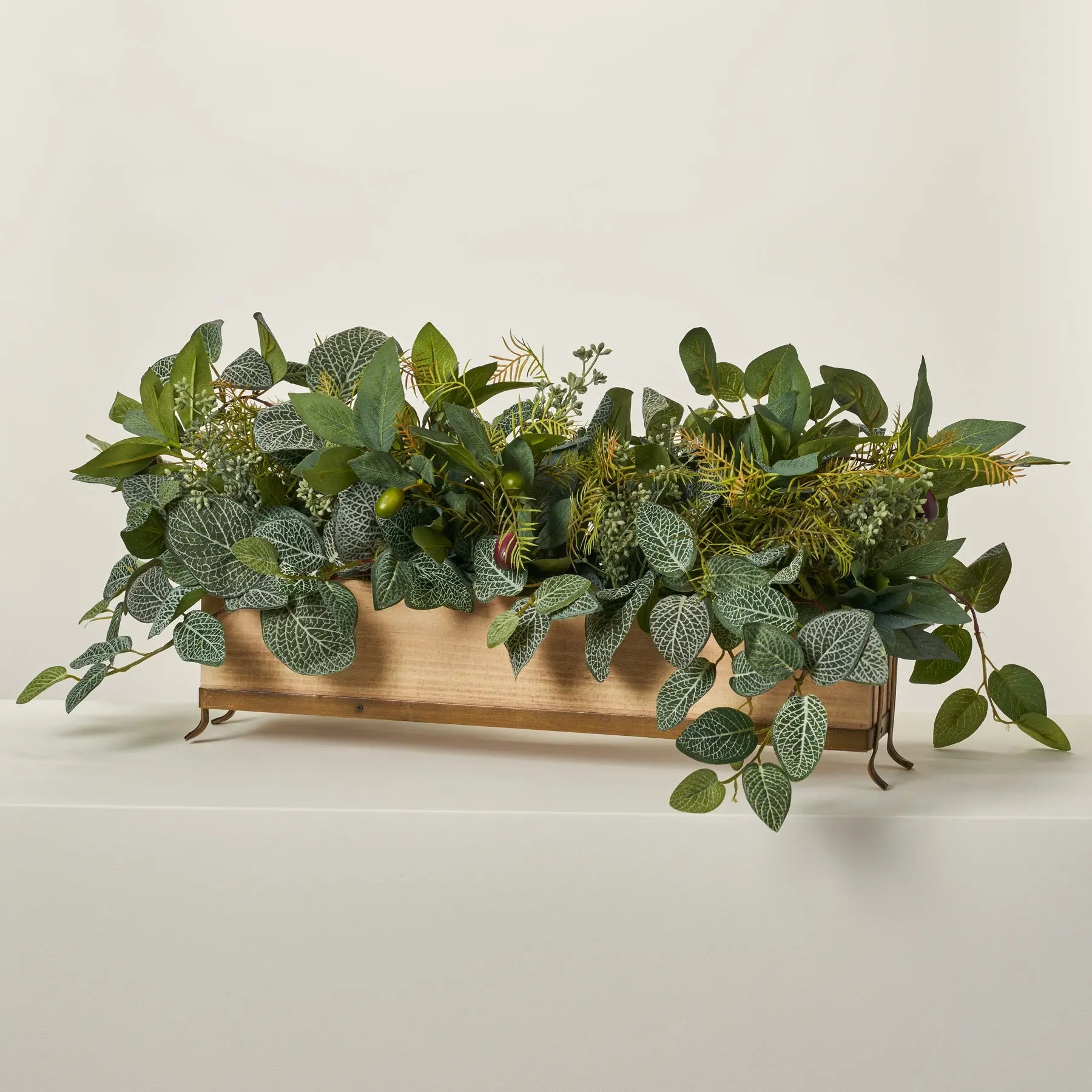 Lush Layers - Fittonia Vines, Olive Branch & Fern Cypress Mixed