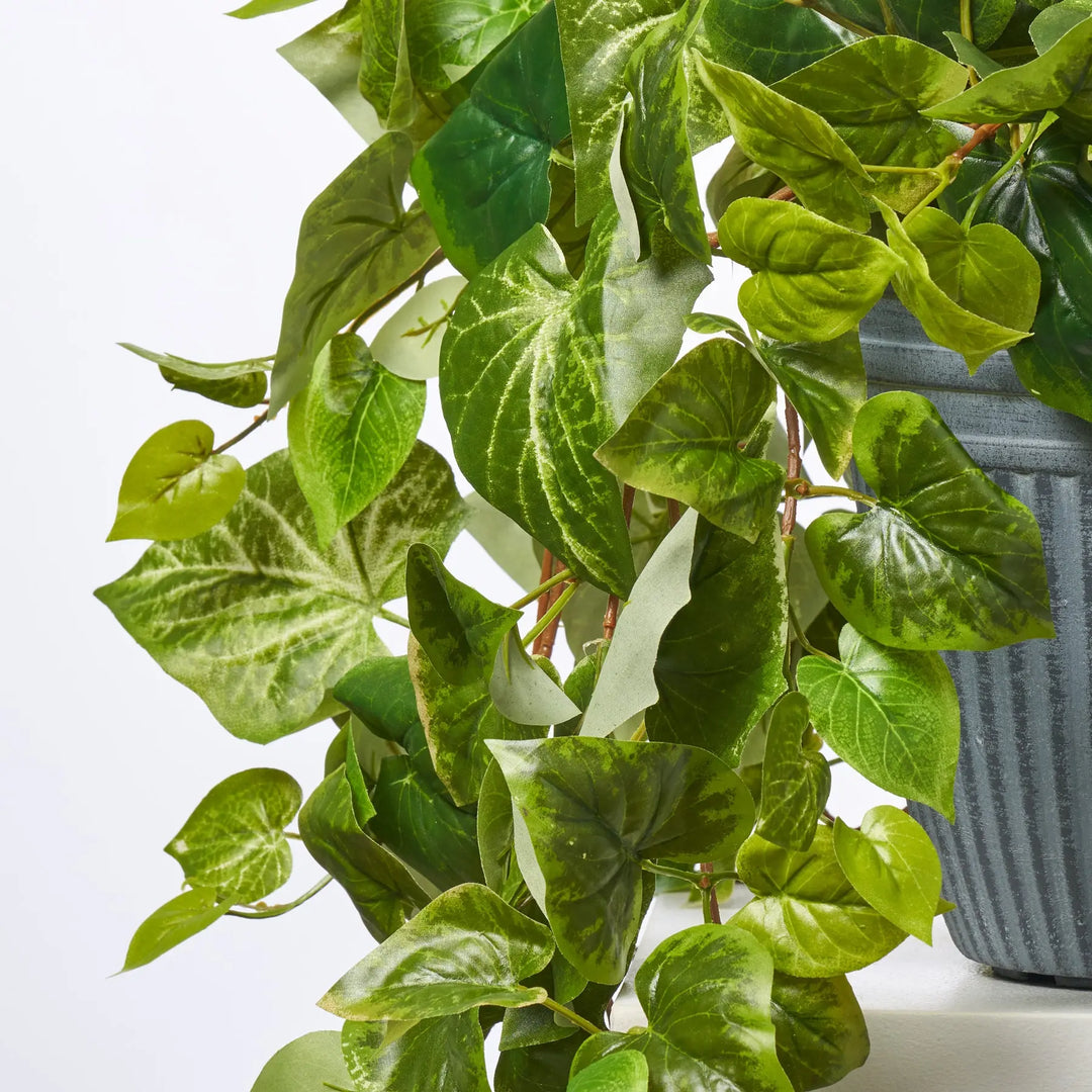 pothos arrangement Bright Green Pothos Folioge Bush All Season Arrangement Everyday Outdoor Urn Filler