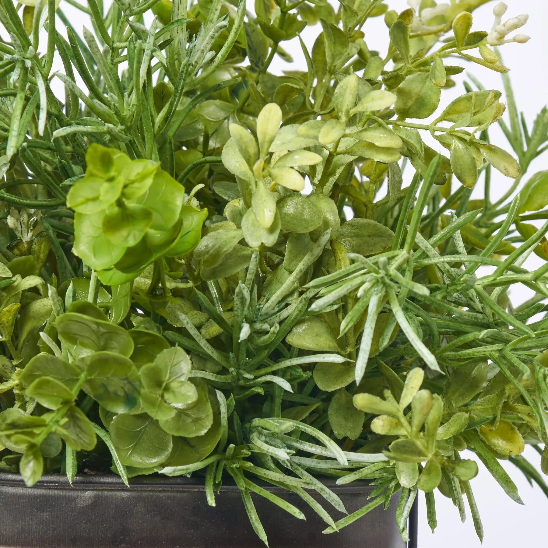 Box Greenery All Seasons Mixed wood Eucalyptus Greenery Everyday Window Planter ...