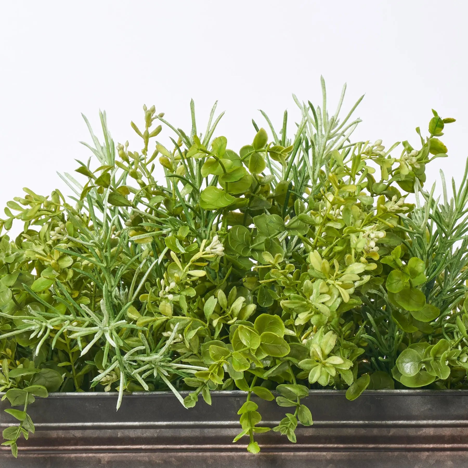 Box Greenery All Seasons Mixed Boxwood Eucalyptus Greenery Everyday Window Planter ...