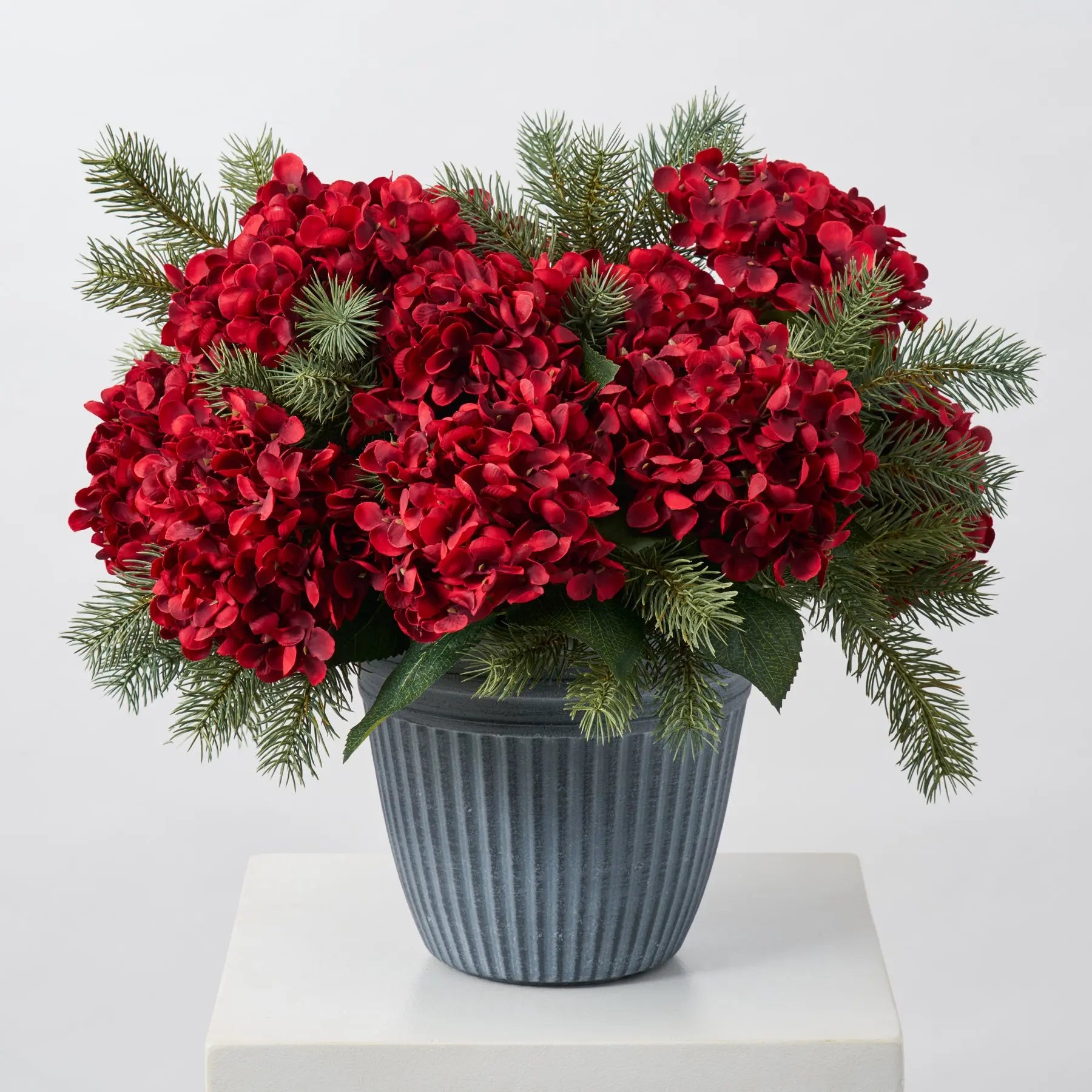 Planters At Rona Yard Planter Centerpiece Christmas Hydrangea Bush & Round Tip Pine